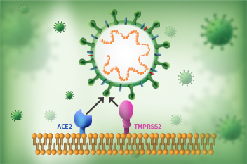 Antibody Scavenger Hunt banners